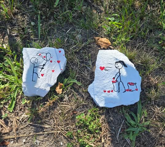 Rock Painting Fans