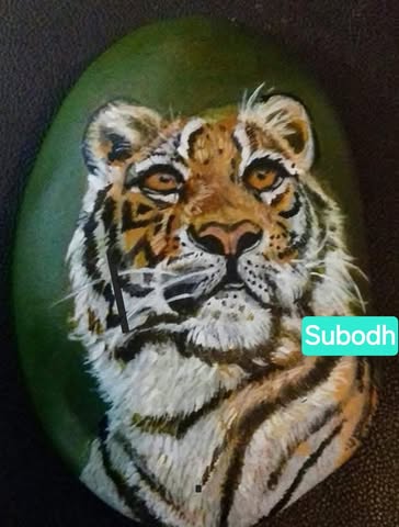 Rock Painting Madness