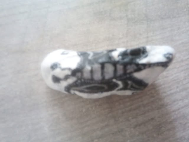 Trouve mon galet 10